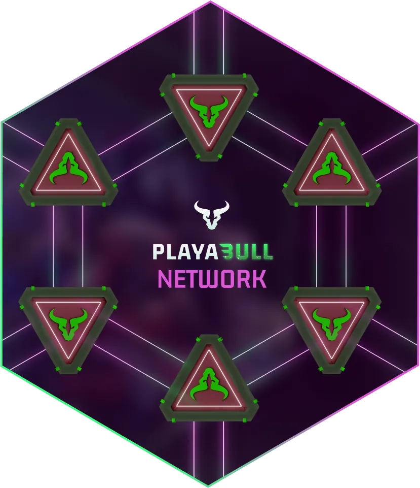 Playabull Network Image